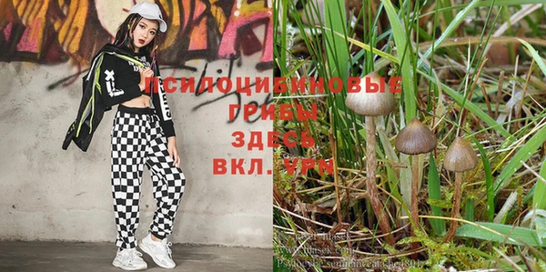 гашиш Володарск